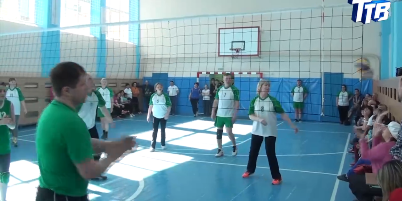 Турнир по волейболу среди трудовых коллективов Троицка